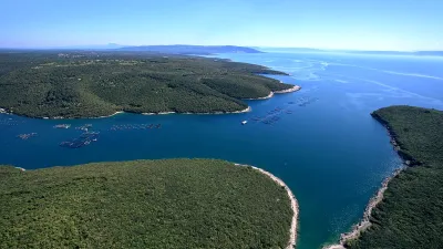 Morský vlk zo Stredomoria