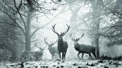 Divinové špeciality 