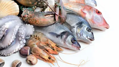 Fresh Fish Service - rybí trh na kolesách