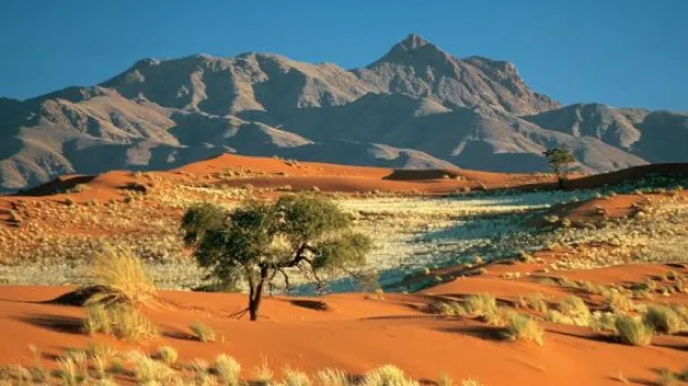 Hovädzie mäso z Namíbie 