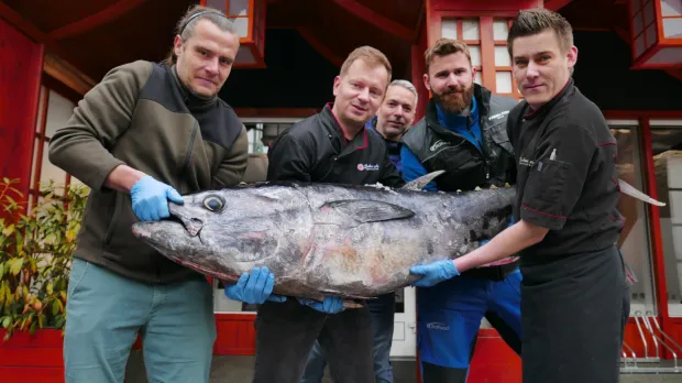 Yellowfin &amp; Bluefin sa stretli vo Fresh Fish Service