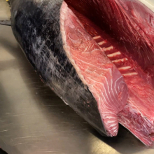 Sakura sushi & steak, Mělník | tuniak modroplutvý (bluefin)
