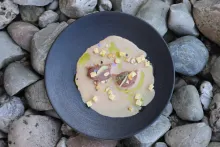 Základy fermentovania | Tatarák s kávou v mlieku z kešu orieškov a s olivovým krémom