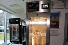 Zrenie mäsa a rýb metódou Cuomo