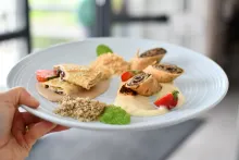 Gastroštúdio Bidfood