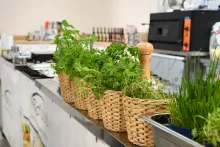 Gastroštúdio Nové Mesto n/V