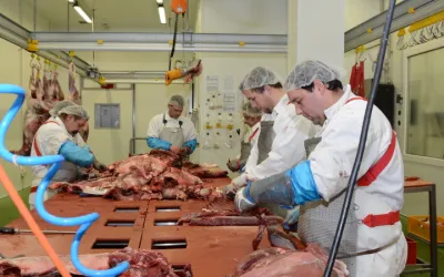 Vznik značky Petron