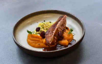 Gastroštúdio Bidfood 