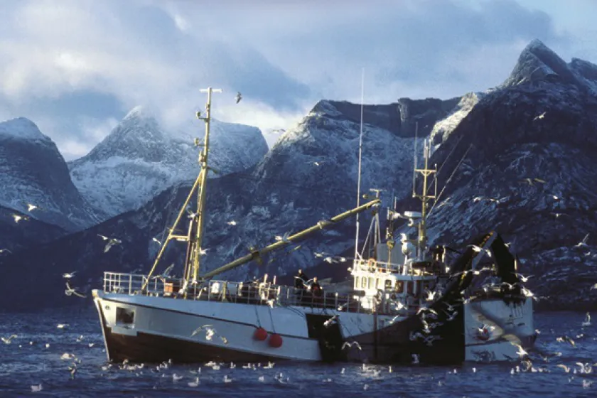 Treska obyčajná – skrytý poklad 