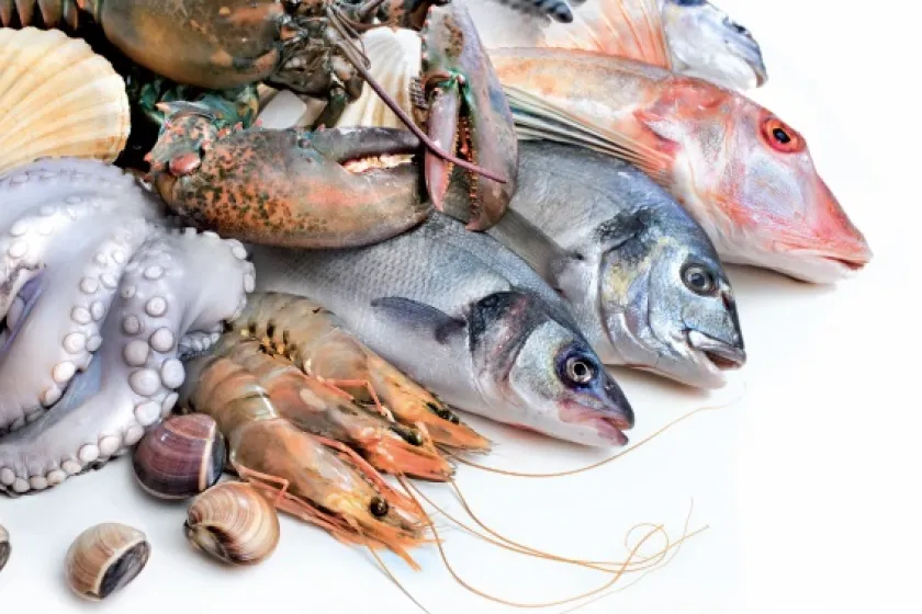 Fresh Fish Service - rybí trh na kolesách