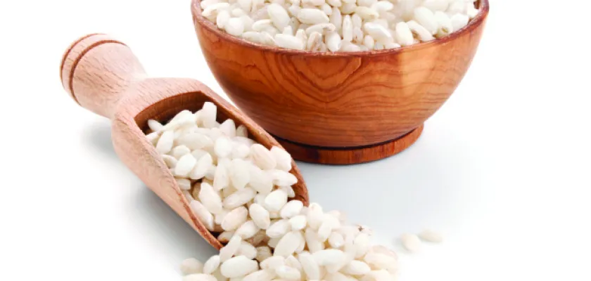 V hlavnej úlohe RYŽA!