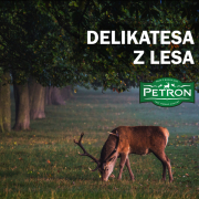 delikatesa z lesa