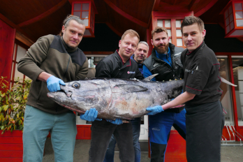 Sakura sushi & steak, Mělník | tuniak modroplutvý (bluefin)