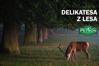 delikatesa z lesa