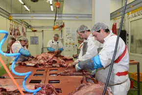 Vznik značky Petron